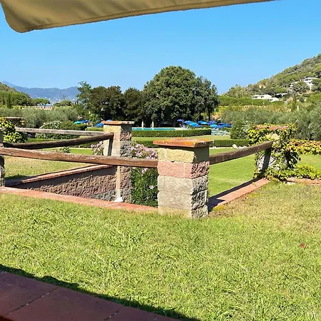 Sant'anna Del Volterraio - Margherite 5 *
