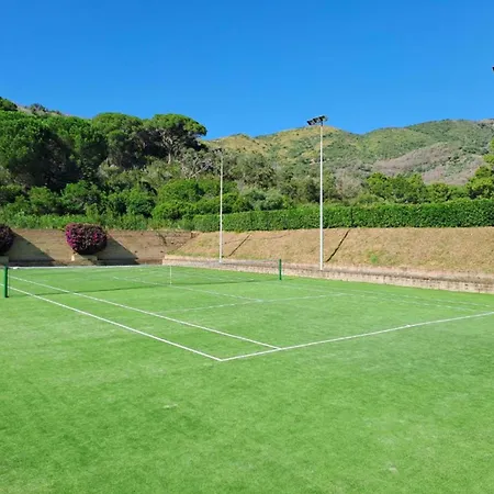 Sant'anna Del Volterraio - Margherite 5