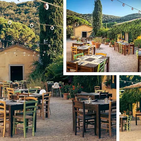 Sant'anna Del Volterraio - Margherite 5 別荘