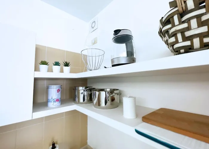 Sant'anna Del Volterraio - Margherite 5 Bagnaia (Livorno)