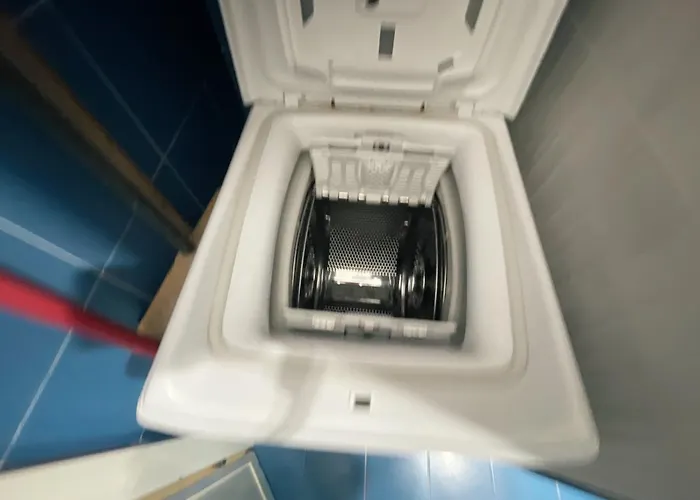 Sant'anna Del Volterraio - Margherite 5 * Bagnaia (Livorno)