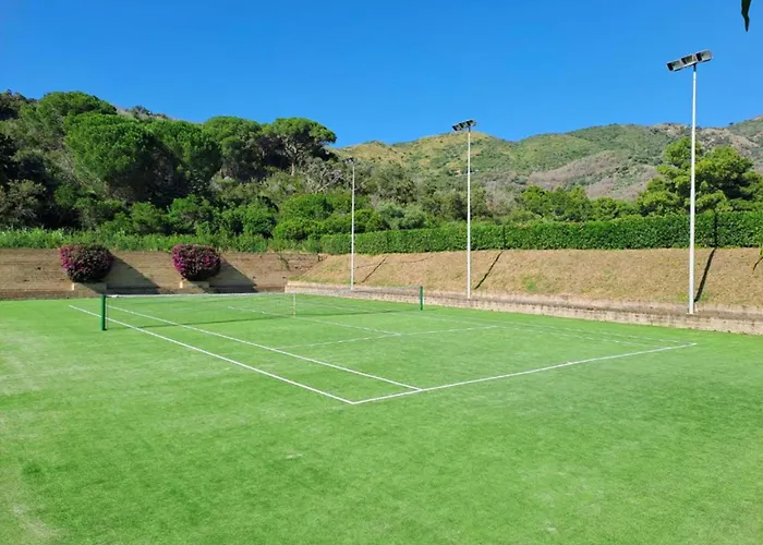 Sant'anna Del Volterraio - Margherite 5